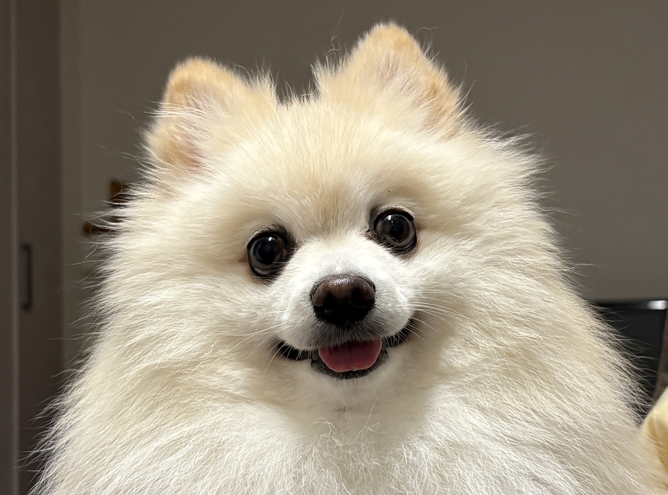 みるくのプロフィール写真